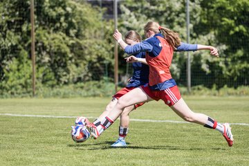 Bild 143 - wBJ Hamburger SV - Hertha BSC : Ergebnis: 5:2